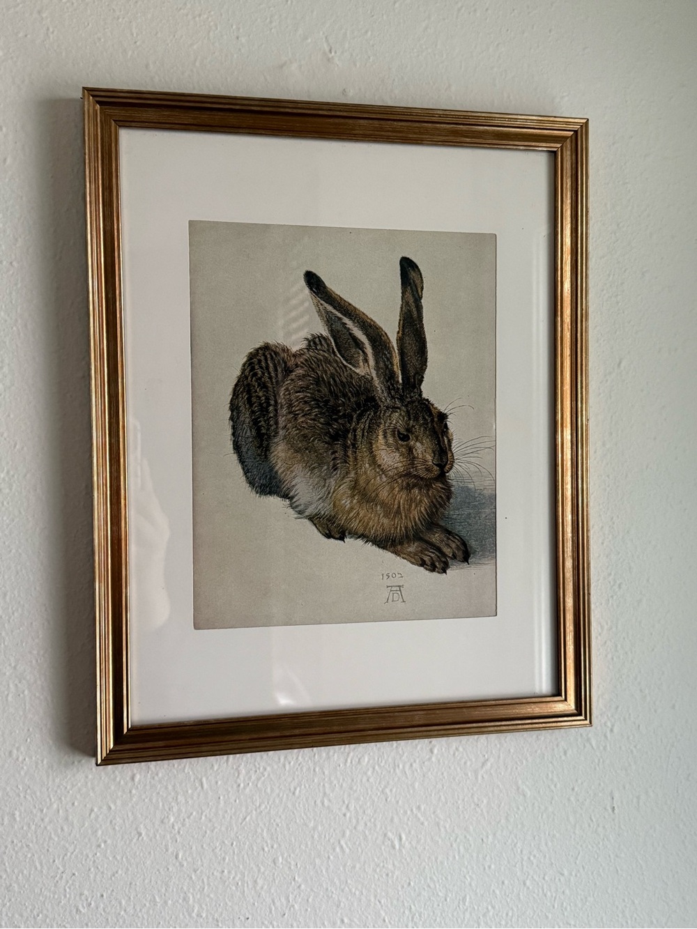 Framed Hare Art Print in Gold Frame
